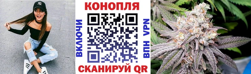 Конопля MAZAR  Старая Русса 